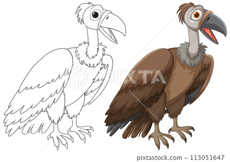 Vulture Illustration: From Sketch to Color Vulture Illustration: From Sketch to Color 113051647