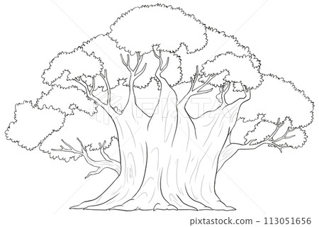 Majestic Tree Line Art Illustration Majestic Tree Line Art Illustration 113051656