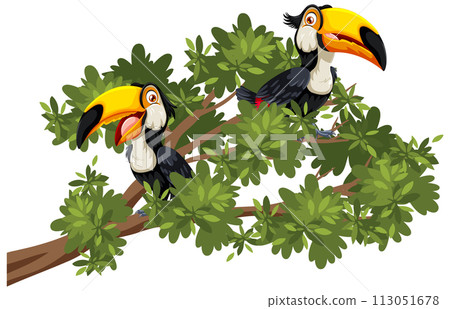 Toucans Perched on a Lush Branch Toucans Perched on a Lush Branch 113051678