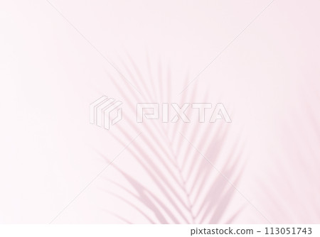 植物葉子的蒼白陰影落在粉紅色房間的牆上,背景材料 植物葉子的蒼白陰影落在粉紅色房間的牆上,背景材料 113051743