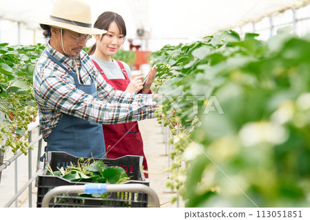 在溫室工作的中高級農民和年輕婦女 113051851