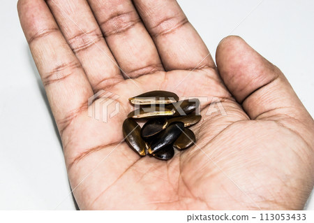Sapota seeds with selective focus 113053433