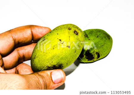 Green mango isolated on white background 113053495