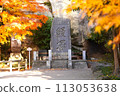 Autumn leaves and eel mound (Zuiganji Temple in autumn) 113053638