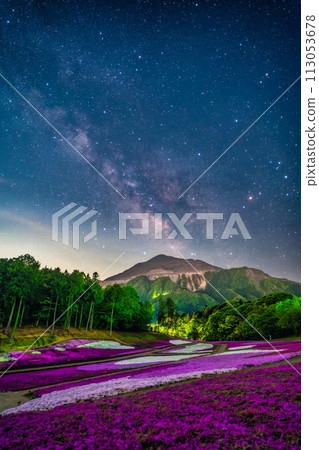 Moss phlox and the spring Milky Way at Chichibu Muse Park, Saitama Prefecture 113053678