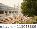 (Hiroshima Prefecture) Onomichi's railway tracks and ripe mandarin oranges 113053886
