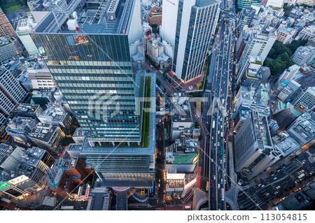 Aerial View of Shibuya, Tokyo, Japan at sunset 113054815
