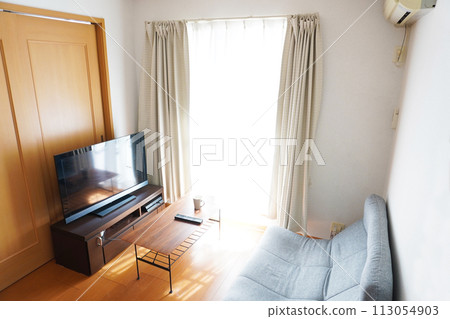 bright south facing living room bright south facing living room 113054903