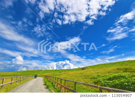 藍天和雲彩在陽光明媚的草地上 113054907