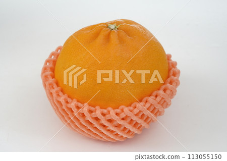 Fresh orange Nijumaru from Saga Prefecture Fresh orange Nijumaru from Saga Prefecture 113055150