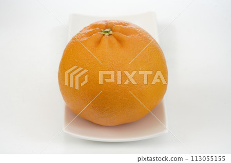 Fresh orange Nijumaru from Saga Prefecture 113055155