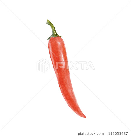Watercolor hand drawn illustration of chili pepper. Vegetable clip art. Food ingredient. Watercolor hand drawn illustration of chili pepper. Vegetable clip art. Food ingredient. 113055487