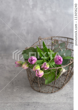 lilac tulips and basket 113056240