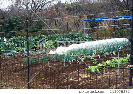 A field in a hilly and mountainous farmland with a fence installed to prevent animal damage. 113056282