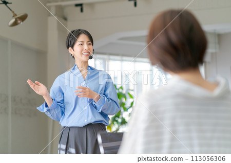 做演示的女商人 做演示的女商人 113056306