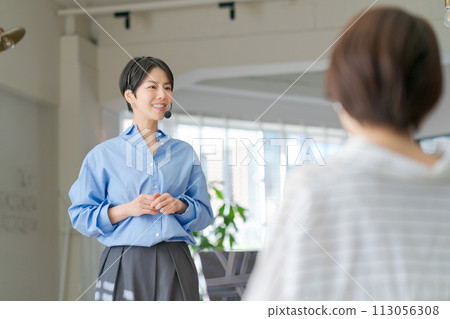 做演示的女商人 做演示的女商人 113056308