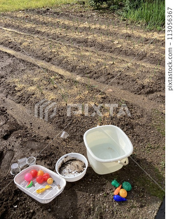 Playing house in the field 113056367