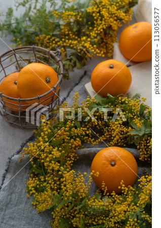 含羞草花環和 hassaku 含羞草花環和 hassaku 113056577