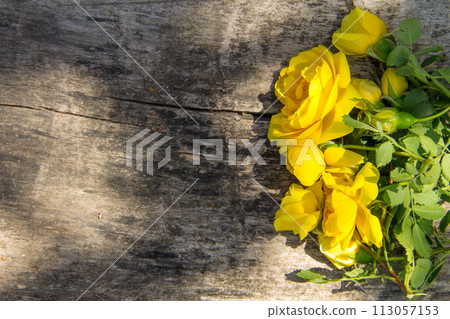 Yellow rose flowers on rustic wooden background with copy space. Top view 113057153