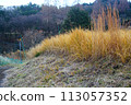 A field in the mountains that is full of grass 113057352
