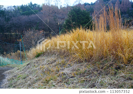 A field in the mountains that is full of grass 113057352