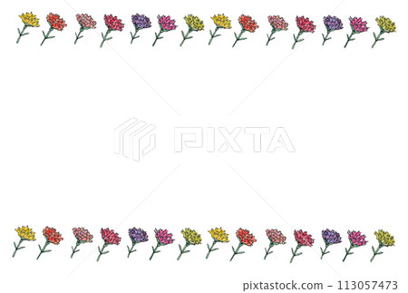A frame illustration of carnations arranged diagonally to the right, drawn with a water-based pen and transparent watercolor paint. 113057473