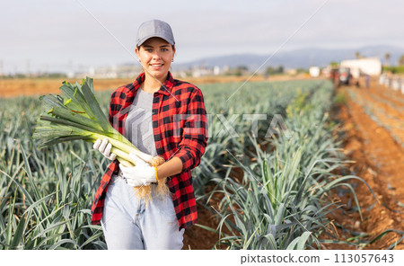 Smiling woman agriculturist with leek on vegetable plantation Smiling woman agriculturist with leek on vegetable plantation 113057643