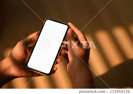 Woman holding smartphone with blank screen sitting in living room. Closeup Woman holding smartphone with blank screen sitting in living room. Closeup 113058136