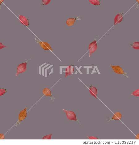 Rose-hip watercolor seamless pattern on muted purple 113058237