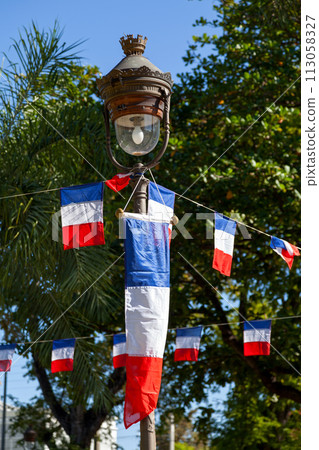 Bunting French flags for Bastille day 113058327