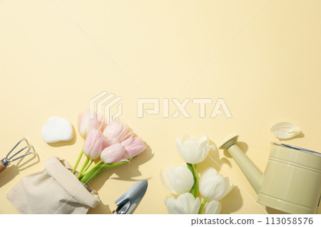 Gardening tools, tulips in cotton bag and watering can on light background, space for text Gardening tools, tulips in cotton bag and watering can on light background, space for text 113058576