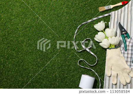 Garden supplies, can of paint and tulips on green background, space for text 113058584