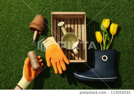 Gardening supplies, gloved hand and tulips in rubber boot on green background, top view Gardening supplies, gloved hand and tulips in rubber boot on green background, top view 113058591