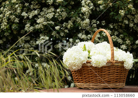 Wicker basket with white flowers, outside. Wicker basket with white flowers, outside. 113058660