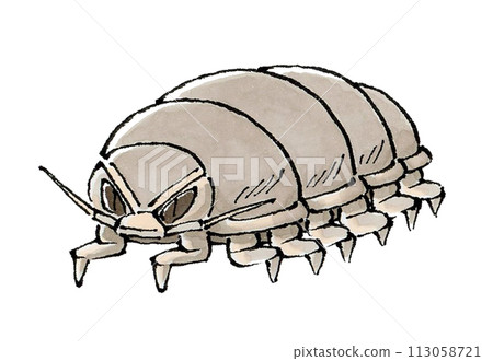 Giant beetle beetle Giant beetle beetle 113058721