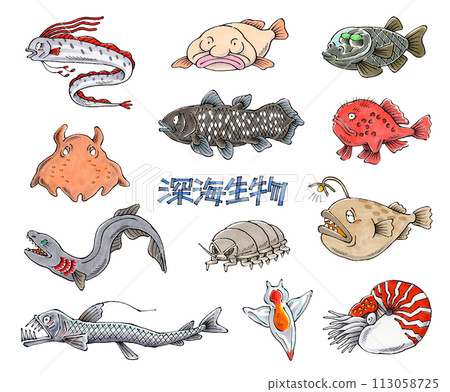 Deep sea creature set Deep sea creature set 113058725