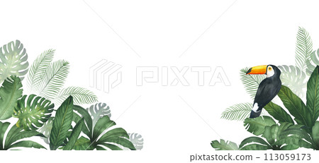 Watercolor illustration of banner or frame with a green jungle with palm leaves, with toucan bird, monstera, watercolor texture, handmade. For decor, poster, invitation Watercolor illustration of banner or frame with a green jungle with palm leaves, with toucan bird, monstera, watercolor texture, handmade. For decor, poster, invitation 113059173
