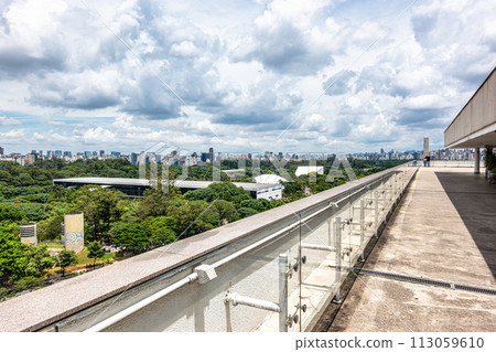 View of downtown Sao Paulo in Brazil seen from Museum of Contemporary Art rooftop 113059610