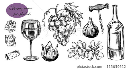 Time for wine vector hand drawn sketch illustration. Human hand holding wine glass. Bottle, cheese, grape vine, cork, corkscrew, isolated on white background. Doodle vintage design elements set 113059612