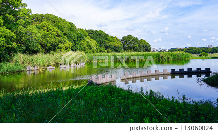 陽光八日方公園(千葉縣習志野市) 陽光八日方公園(千葉縣習志野市) 113060024