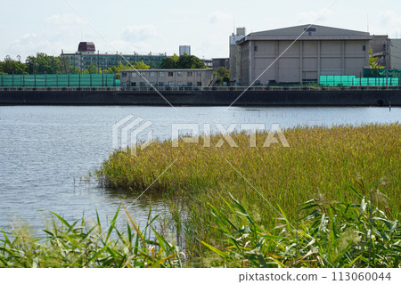 Sunny Yatsu Higata Park (Narashino City, Chiba Prefecture) Sunny Yatsu Higata Park (Narashino City, Chiba Prefecture) 113060044