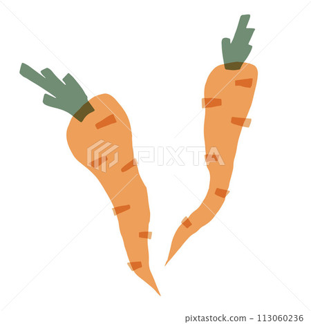 Collage illustration of carrots, layered set of root vegetables Collage illustration of carrots, layered set of root vegetables 113060236
