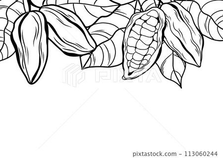 decorative frame made of leaves and fruits of cocoa tree, isolated linear border for design 113060244