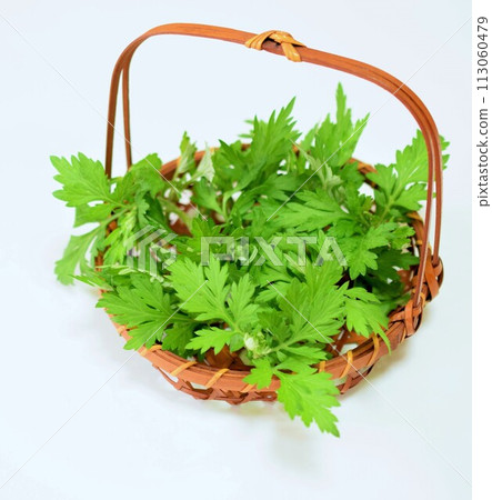 竹籃裡的鮮艾葉，鮮艾蒿 113060479