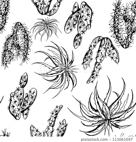 Hand drawn ink vector illustration, nature tropical exotic desert plant succulent cactus aloe agave leaves. Seamless pattern isolated on white background. Design travel, vacation, brochure, print Hand drawn ink vector illustration, nature tropical exotic desert plant succulent cactus aloe agave leaves. Seamless pattern isolated on white background. Design travel, vacation, brochure, print 113061097