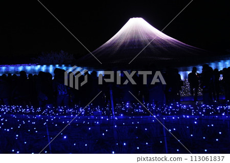 Nabana no Sato Illumination 113061837