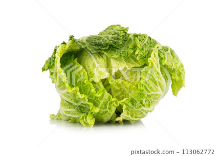 Chinese cabbage isolated on white background Chinese cabbage isolated on white background 113062772