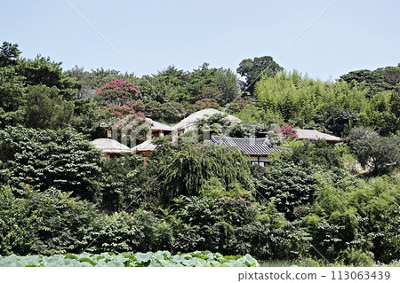 korea house, 113063439