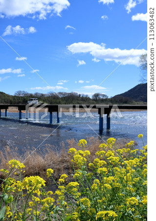 Rapeseed flowers decorating Sada Submerged Bridge, Shimanto River (Shimanto City, Kochi Prefecture) 113063482