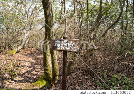 The summit of Mt. Iwasaki (Mt. Hachiman traverse course) 113063692